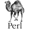 perl programming language