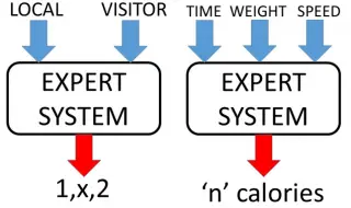Diagram showing two expert system examples: cricket match outcome prediction and calorie estimation